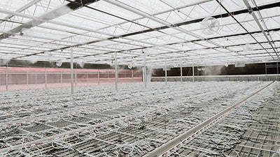 Greenhorizons Smaller Stateoftheart Cultivationgrow Small