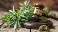 Cannabisgavel Lawsuit