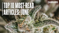 Top10 June