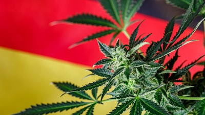 Germany Mj Til