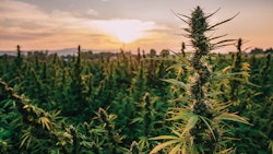 iStock || Jeremy Poland