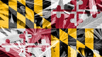 Maryland Mj Mari