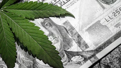 Mj Money Bill
