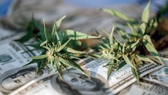 Mjsales Delawarebill