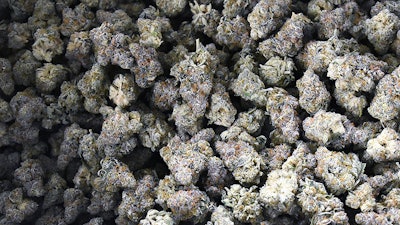 Dried and trimmed medical cannabis flower at an Ohio cultivation facility.