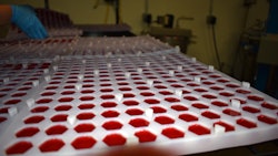 THC-infused gummies at an Ohio processing facility.