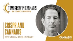 Headshot by Shoey Sindel