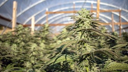 Colorado Hoophouse