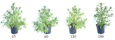 Cultivation Matters Fig 1