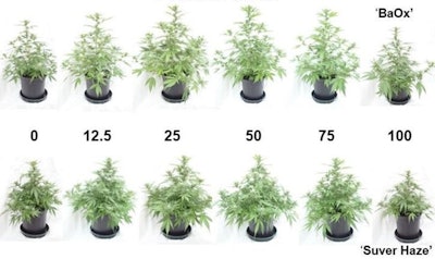 Cultivationmattersfig2