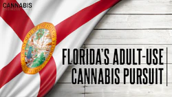 Florida Graphic