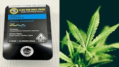 “Glass House Farms cannabis flower pre-rolls” front package label