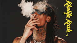 Khalifakush1 Display