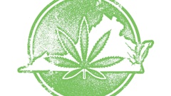 Virginia Hemp Top Story Image