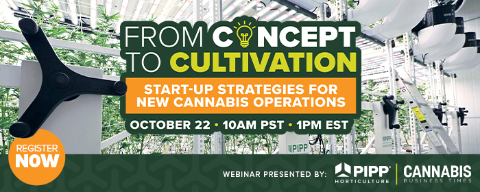 2410 Cbt Pipp Webinar Header