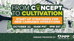 2410 Cbt Pipp Webinar Header