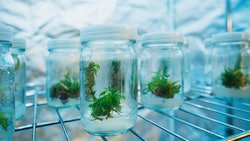 VTT Studio | Adobe Stock