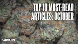 Cbt October2024 Top10 Display