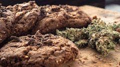 Hemp Cookie