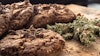 Hemp Cookie