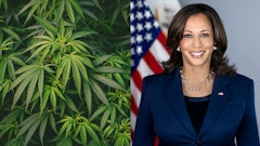 Democratic presidential candidate Kamala Harris vowed to federally legalize cannabis if elected next month.