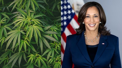 Democratic presidential candidate Kamala Harris vowed to federally legalize cannabis if elected next month.