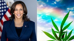 Kamala Harris Vice Presidential Portrait Merged