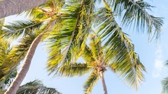 Florida Fail Adobe Stock