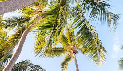 Florida Fail Adobe Stock