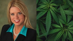 Pam Bondi Official Photo (cropped)