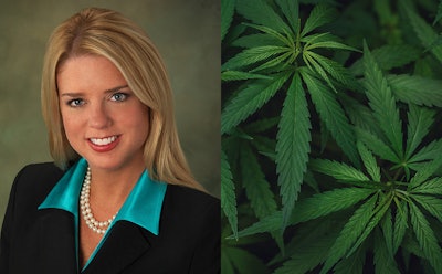 Pam Bondi Official Photo (cropped)