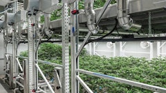 Peninsula Gardens opted for a two-tier system for veg, where it runs between 1,000 and 1,800 plants at a time.