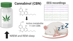 Cannabinol Sleep Rats Illustration University Of Sydney 2024