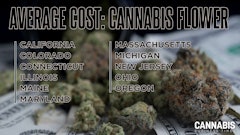Average Cost 2025