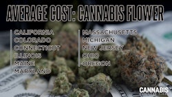 Average Cost 2025
