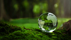Esg Globe