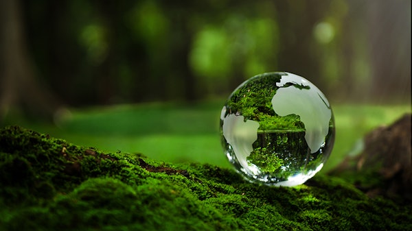 Esg Globe