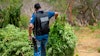 Hemp Police