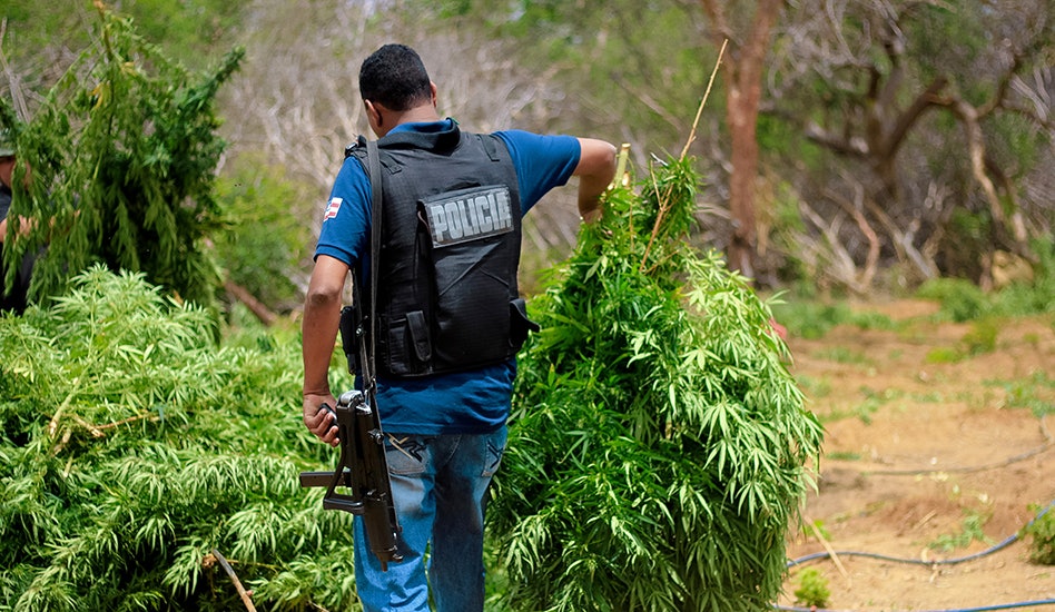 photo of Tennessee Authorities Forced to Pay $735,000 for Illegal Hemp Seizure image
