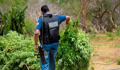 Hemp Police