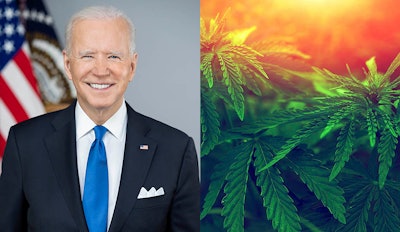 Joe Biden Presidential Portrait
