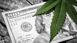 Michigan Sales Trends