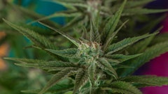 Nebraska Lawsuit