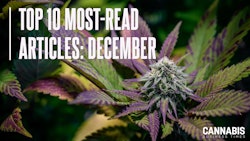 Top10 December2024 Display