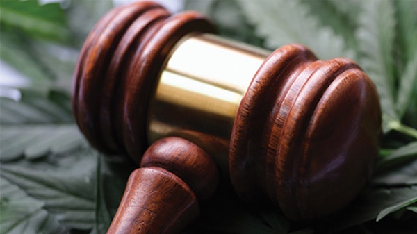 Gavel Cannabis