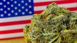 America Mj 190766540