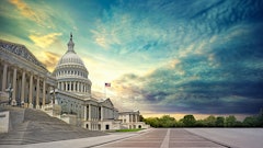 Cap Hill 265746413