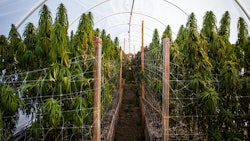 Hoop House 301655235