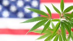 Mj us flag 427366121