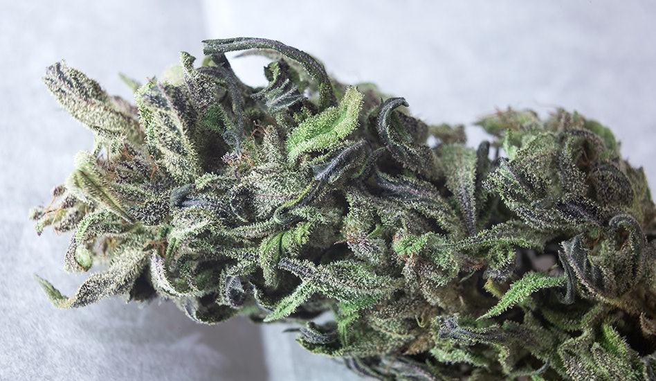 photo of Missouri Now 5th Largest Adult-Use Cannabis Market in Nation image